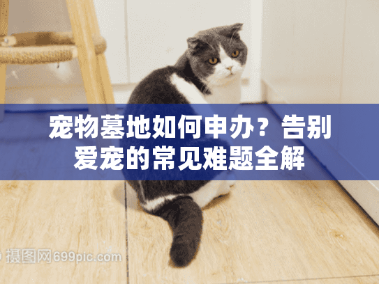 宠物墓地如何申办?告别爱宠的常见难题全解 宠物墓地如何申办?告别爱宠的常见难题全解