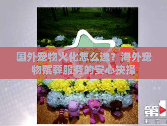 国外宠物火化怎么选?海外宠物殡葬服务的安心抉择 国外宠物火化怎么选?海外宠物殡葬服务的安心抉择