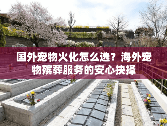 国外宠物火化怎么选?海外宠物殡葬服务的安心抉择 国外宠物火化怎么选?海外宠物殡葬服务的安心抉择