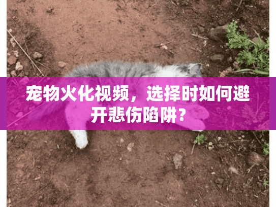 宠物火化视频,选择时如何避开悲伤陷阱? 宠物火化视频,选择时如何避开悲伤陷阱?
