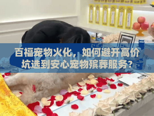 百福宠物火化,如何避开高价坑选到安心宠物殡葬服务? 百福宠物火化,如何避开高价坑选到安心宠物殡葬服务?