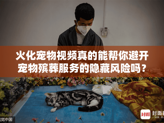 火化宠物视频真的能帮你避开宠物殡葬服务的隐藏风险吗？专家揭秘关键筛选技巧