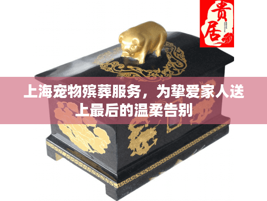 上海宠物殡葬服务，为挚爱家人送上最后的温柔告别