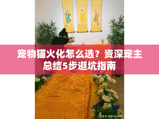 宠物猫火化怎么选?资深宠主总结5步避坑指南 宠物猫火化怎么选?资深宠主总结5步避坑指南