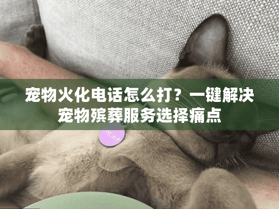 宠物火化电话怎么打？一键解决宠物殡葬服务选择痛点