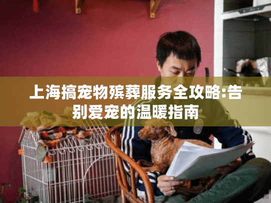 上海搞宠物殡葬服务全攻略:告别爱宠的温暖指南