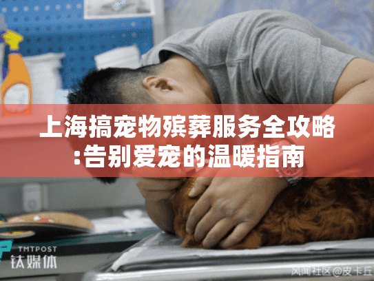 上海搞宠物殡葬服务全攻略:告别爱宠的温暖指南