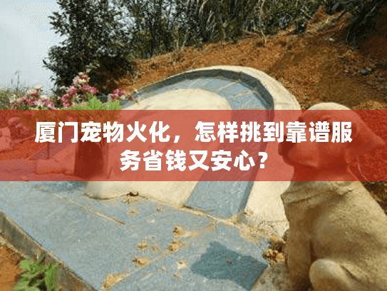 厦门宠物火化，怎样挑到靠谱服务省钱又安心？