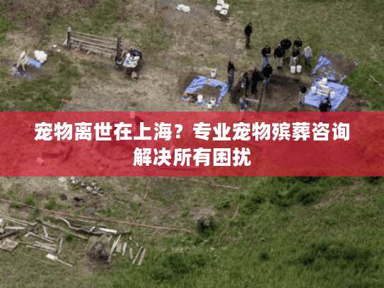 宠物离世在上海？专业宠物殡葬咨询解决所有困扰