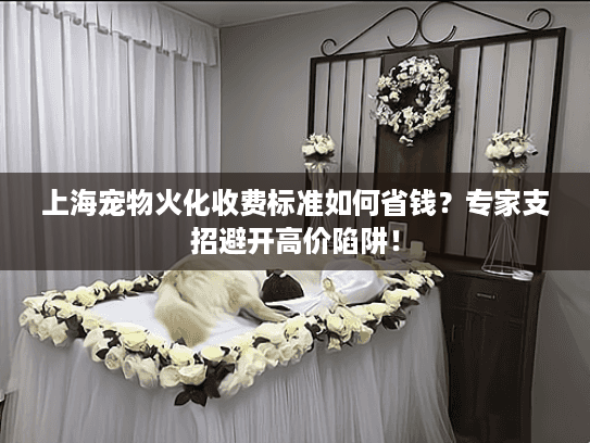 上海宠物火化收费标准如何省钱？专家支招避开高价陷阱！