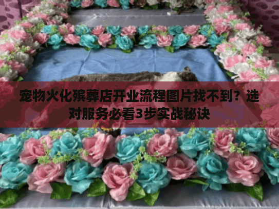 宠物火化殡葬店开业流程图片找不到？选对服务必看3步实战秘诀
