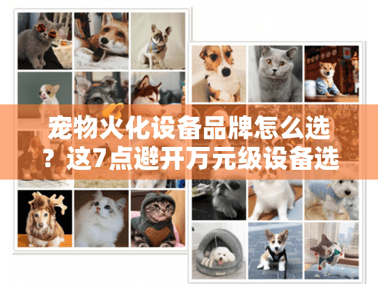 宠物火化设备品牌怎么选？这7点避开万元级设备选购误区