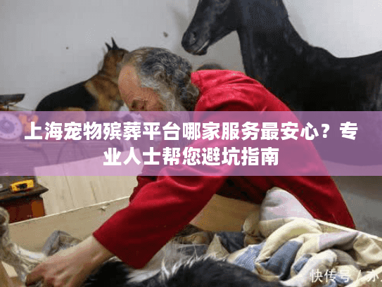 上海宠物殡葬平台哪家服务最安心？专业人士帮您避坑指南