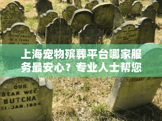 上海宠物殡葬平台哪家服务最安心？专业人士帮您避坑指南