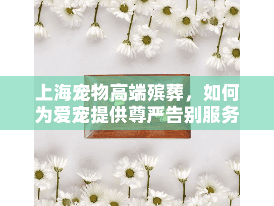 上海宠物高端殡葬，如何为爱宠提供尊严告别服务？