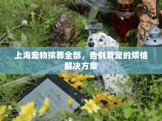 上海宠物殡葬全部，告别爱宠的烦恼解决方案