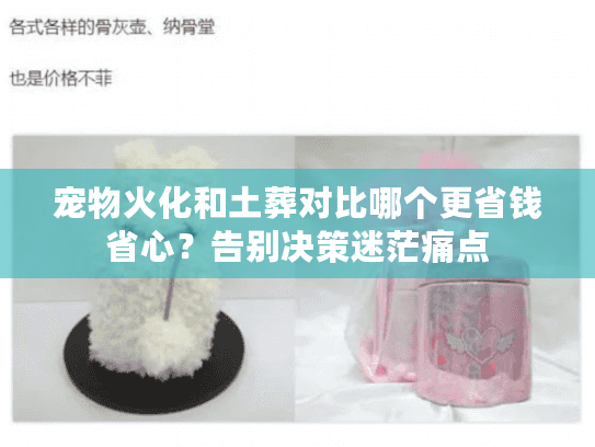 宠物火化和土葬对比哪个更省钱省心？告别决策迷茫痛点