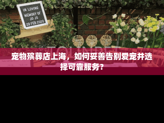 宠物殡葬店上海，如何妥善告别爱宠并选择可靠服务？