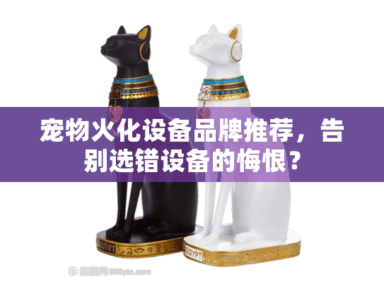 宠物火化设备品牌推荐，告别选错设备的悔恨？