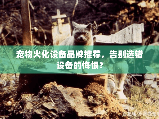 宠物火化设备品牌推荐，告别选错设备的悔恨？