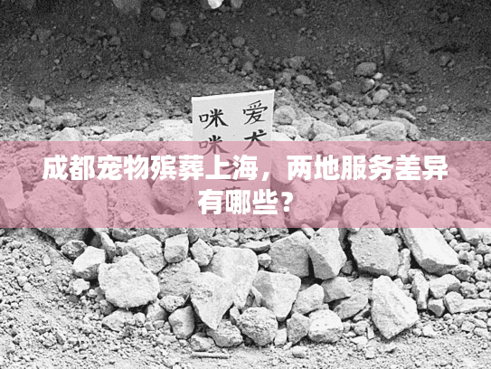 成都宠物殡葬上海，两地服务差异有哪些？