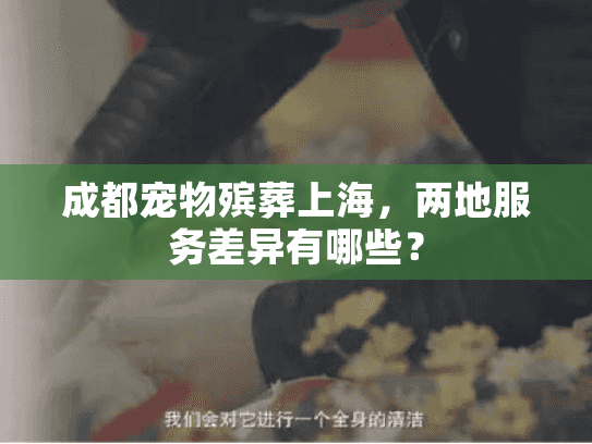 成都宠物殡葬上海，两地服务差异有哪些？