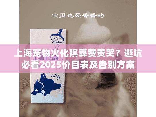 上海宠物火化殡葬费贵哭？避坑必看2025价目表及告别方案