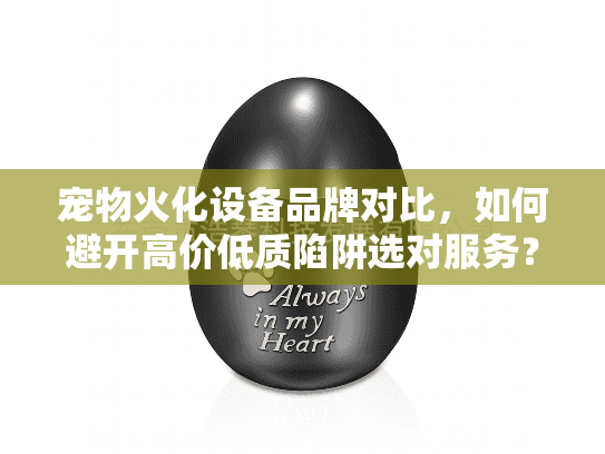 宠物火化设备品牌对比，如何避开高价低质陷阱选对服务？