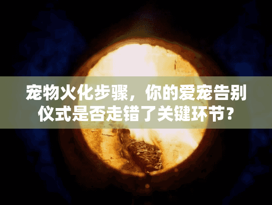 宠物火化步骤，你的爱宠告别仪式是否走错了关键环节？