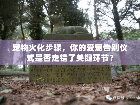 宠物火化步骤，你的爱宠告别仪式是否走错了关键环节？