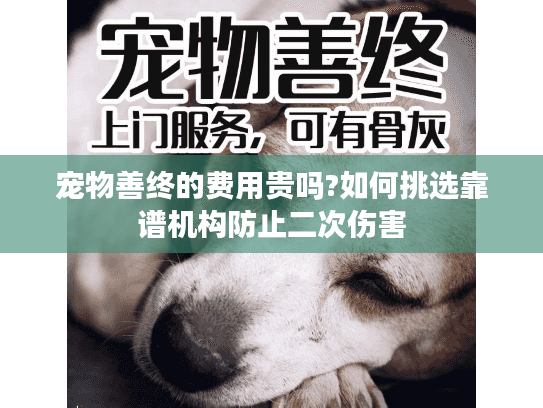 宠物善终的费用贵吗?如何挑选靠谱机构防止二次伤害