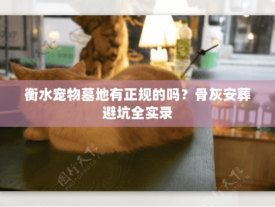 衡水宠物墓地有正规的吗?骨灰安葬避坑全实录 衡水宠物墓地有正规的吗?骨灰安葬避坑全实录