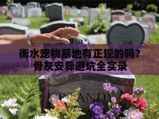 衡水宠物墓地有正规的吗?骨灰安葬避坑全实录 衡水宠物墓地有正规的吗?骨灰安葬避坑全实录
