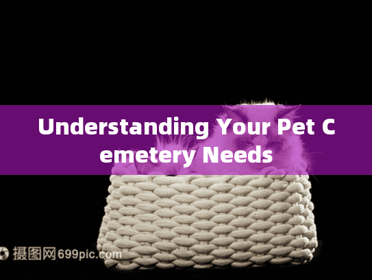 Understanding Your Pet Cemetery Needs Understanding Your Pet Cemetery Needs