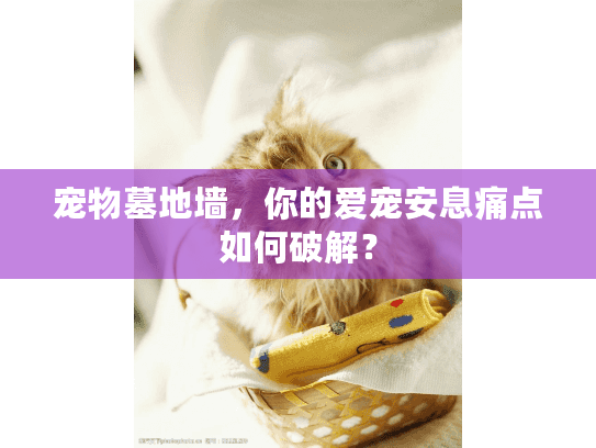 宠物墓地墙，你的爱宠安息痛点如何破解？