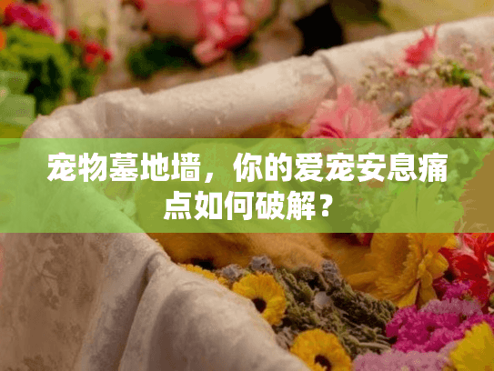 宠物墓地墙，你的爱宠安息痛点如何破解？