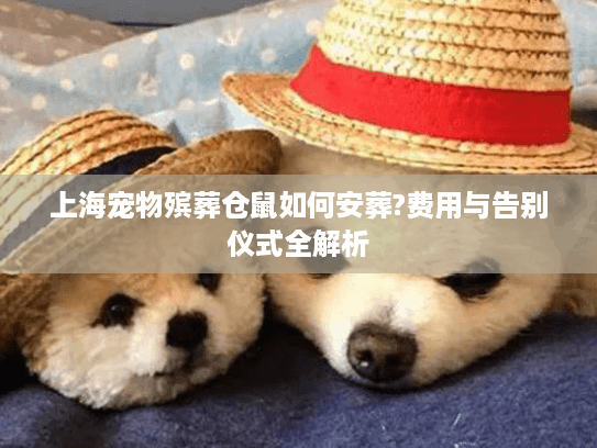 上海宠物殡葬仓鼠如何安葬?费用与告别仪式全解析