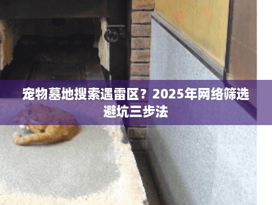 宠物墓地搜索遇雷区？2025年网络筛选避坑三步法