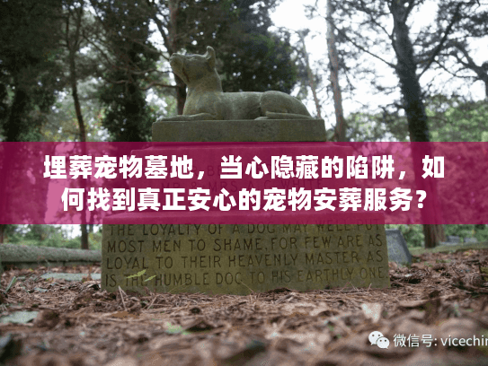 埋葬宠物墓地，当心隐藏的陷阱，如何找到真正安心的宠物安葬服务？