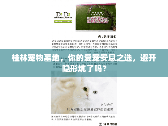 桂林宠物墓地，你的爱宠安息之选，避开隐形坑了吗？