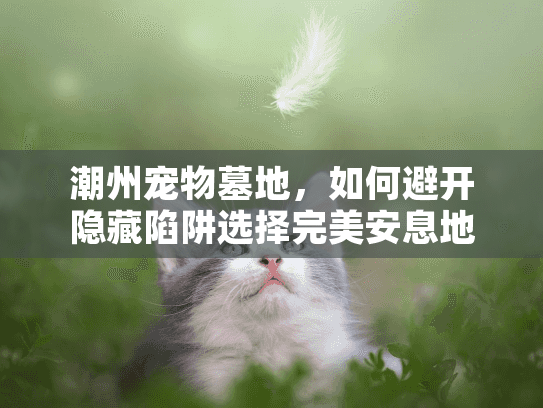 潮州宠物墓地，如何避开隐藏陷阱选择完美安息地？