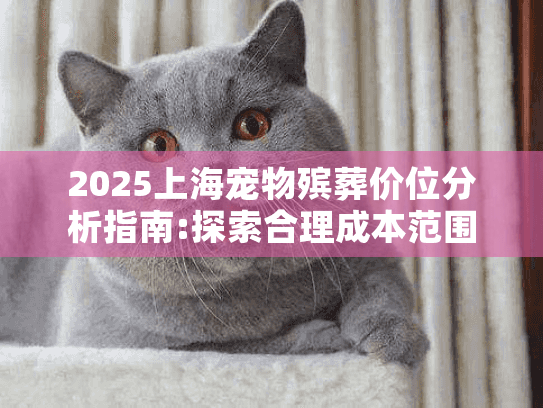 2025上海宠物殡葬价位分析指南:探索合理成本范围