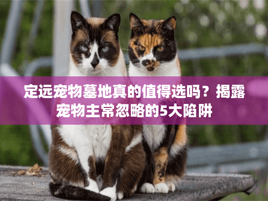 定远宠物墓地真的值得选吗？揭露宠物主常忽略的5大陷阱