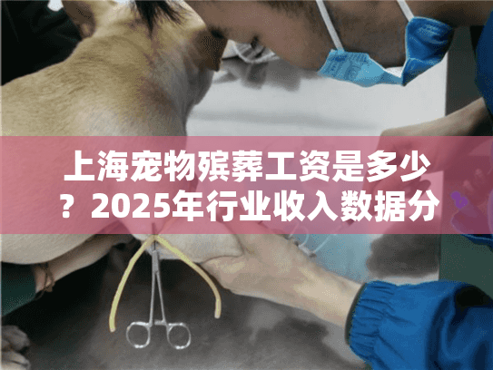 上海宠物殡葬工资是多少？2025年行业收入数据分析
