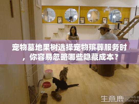宠物墓地果树选择宠物殡葬服务时，你容易忽略哪些隐藏成本？