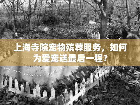 上海寺院宠物殡葬服务，如何为爱宠送最后一程？