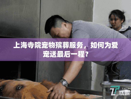 上海寺院宠物殡葬服务，如何为爱宠送最后一程？
