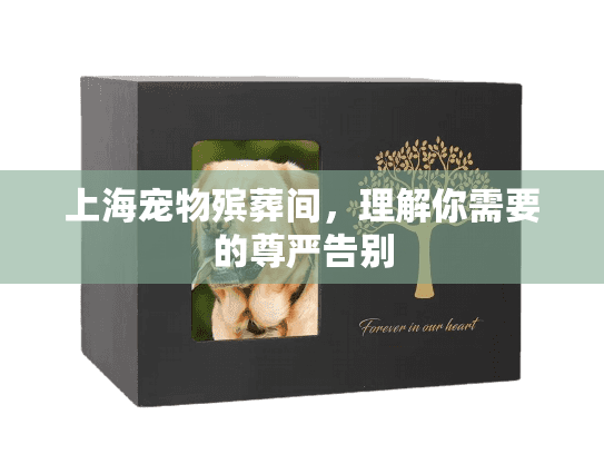 上海宠物殡葬间，理解你需要的尊严告别