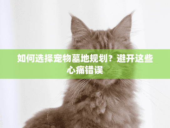 如何选择宠物墓地规划？避开这些心痛错误