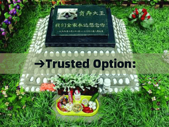 →Trusted Option: